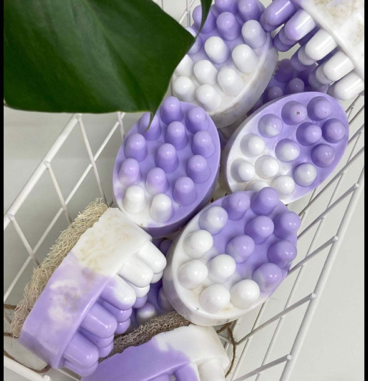 Sueño de Lavanda” Jabón Relajante & Purificante